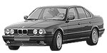 BMW E34 P341C Fault Code